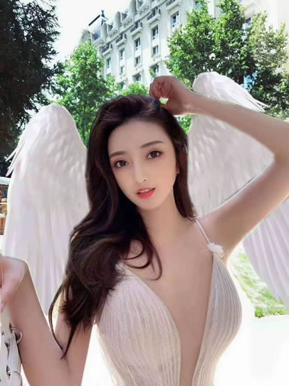 上海贵族宝贝龙凤楼